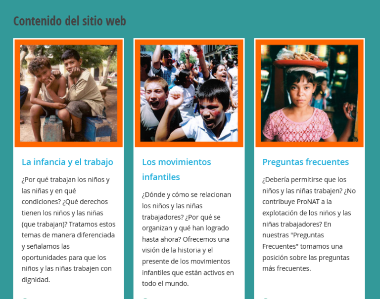 Screenshot-2021-06-08-at-12-27-14-Solidaridad-con-los-niños-las-niñas-y-adolescentes-trabajadores